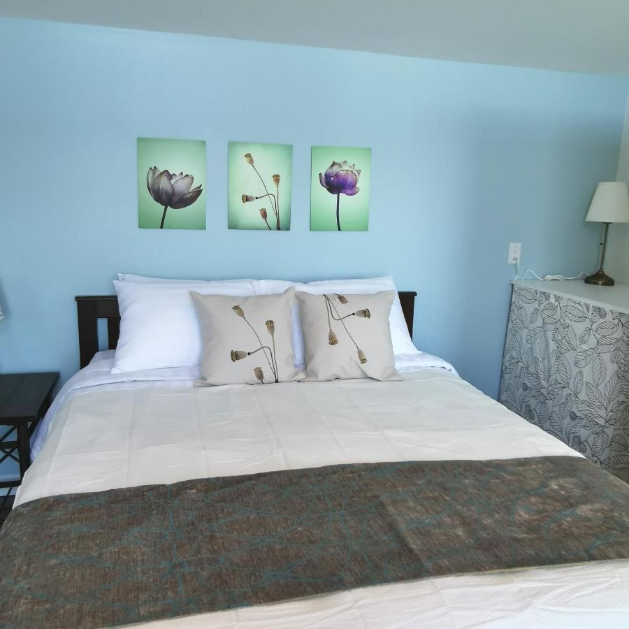Knotty Pine Ocean Front Suite - Adults Only Ingonish Extérieur photo